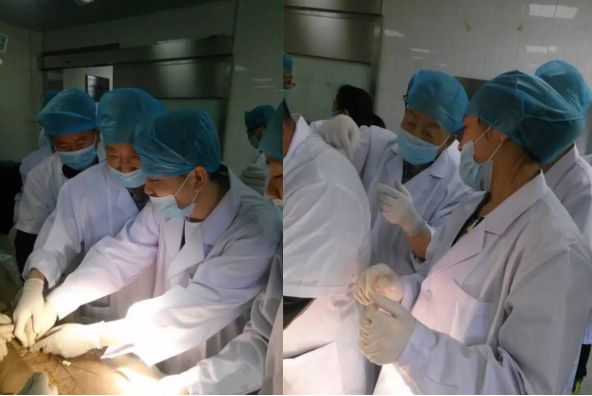 针刀培训班（19年郑州）针刀治疗软组织疼痛临床应用技术